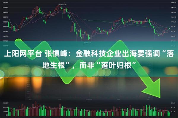 上阳网平台 张慎峰：金融科技企业出海要强调“落地生根”，而非“落叶归根”