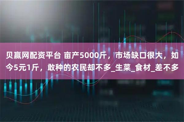 贝赢网配资平台 亩产5000斤，市场缺口很大，如今5元1斤，敢种的农民却不多_生菜_食材_差不多