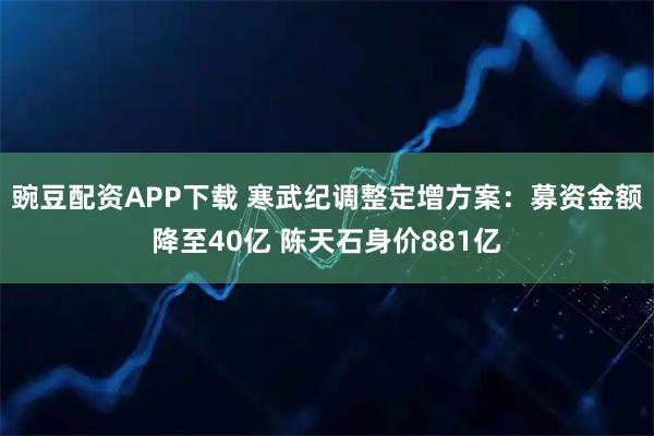 豌豆配资APP下载 寒武纪调整定增方案：募资金额降至40亿 陈天石身价881亿